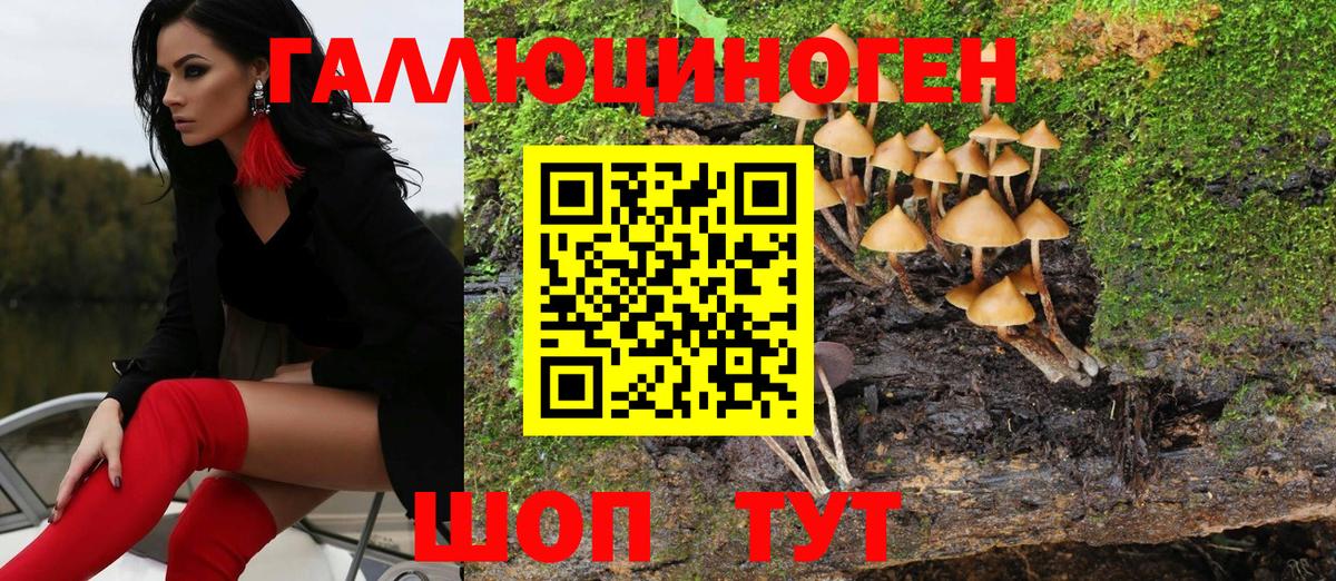 Псилоцибиновые грибы мухоморы Осинники