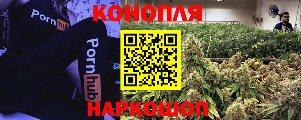 Каннабис сатива Осинники
